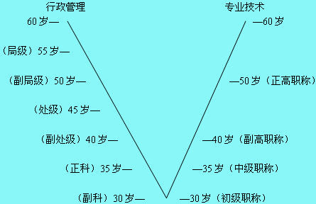 职业生涯路线图