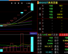 3.9万股东惊呆了！“妖股”上演“天地板”，半