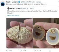 在巴西发现的怪石走红 酷似《芝麻街》这个角色