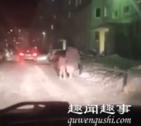 近日,一位奶奶带着孙女在零下30度天走夜路,路人开车经过,将镜