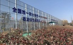 澳门402com永利网站:国务院批复同意设立陕西杨凌综合保税区
