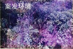 靠谱的足球外围app:男子骗朋友爬山将其杀害，事发22年前，终自