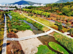 1946伟德网页版:终于盼到你！大沙河过河汀步开放啦