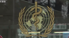 8814网址变了吗:世卫：疫情影响全球50%癌症诊疗 乳腺癌成最常见