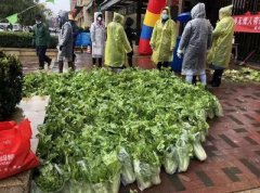 澳门蒲京:云南：新兴领域青年助力家乡抗击疫情