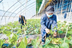 乐游游戏官网:北京市商务局：春节市场货源充足供应稳定~