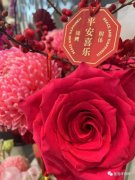 网赌:春光见证｜除夕，我们拥抱幸福