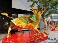 188bet金宝搏备用网站:特写：香港街头巷尾“迎金牛”