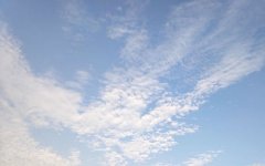 下载det365app娱乐官网:情人节祝福语文案说说 2021情人节贺卡内容