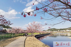环球网app官方下载:春节假期莆田创新文旅产品供给 “就地过年