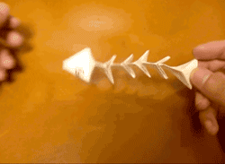 fishbonegif